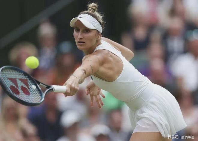 林狼凭借安 林狼凭借安