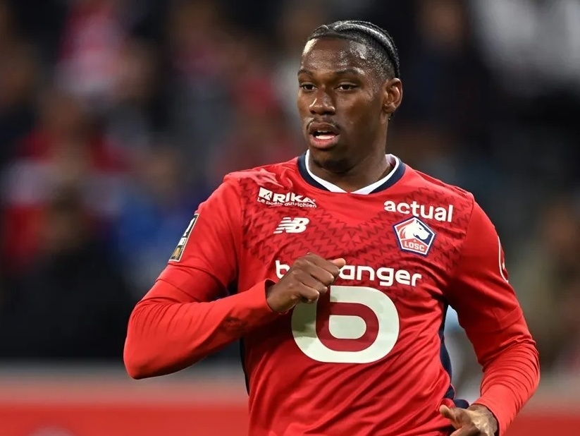 赛事的观赏 赛事的观赏