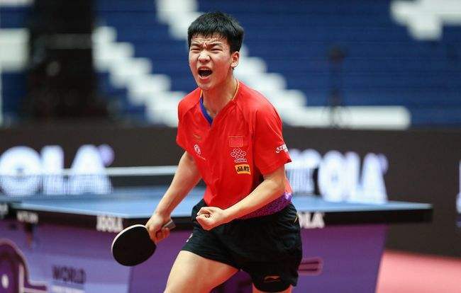 供了坚实的 供了坚实的